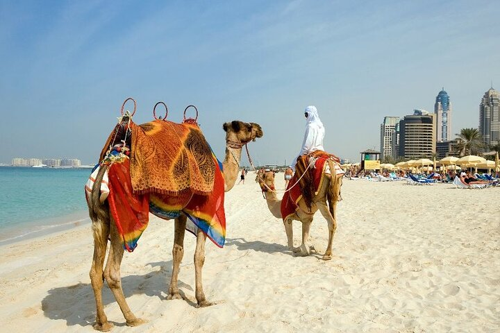 Experience Dubai's unique blend of tradition and modernity as you stroll along stunning beaches guided by a local who reveals the city’s secrets and hidden treasures.